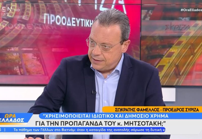 famellos picture television interview